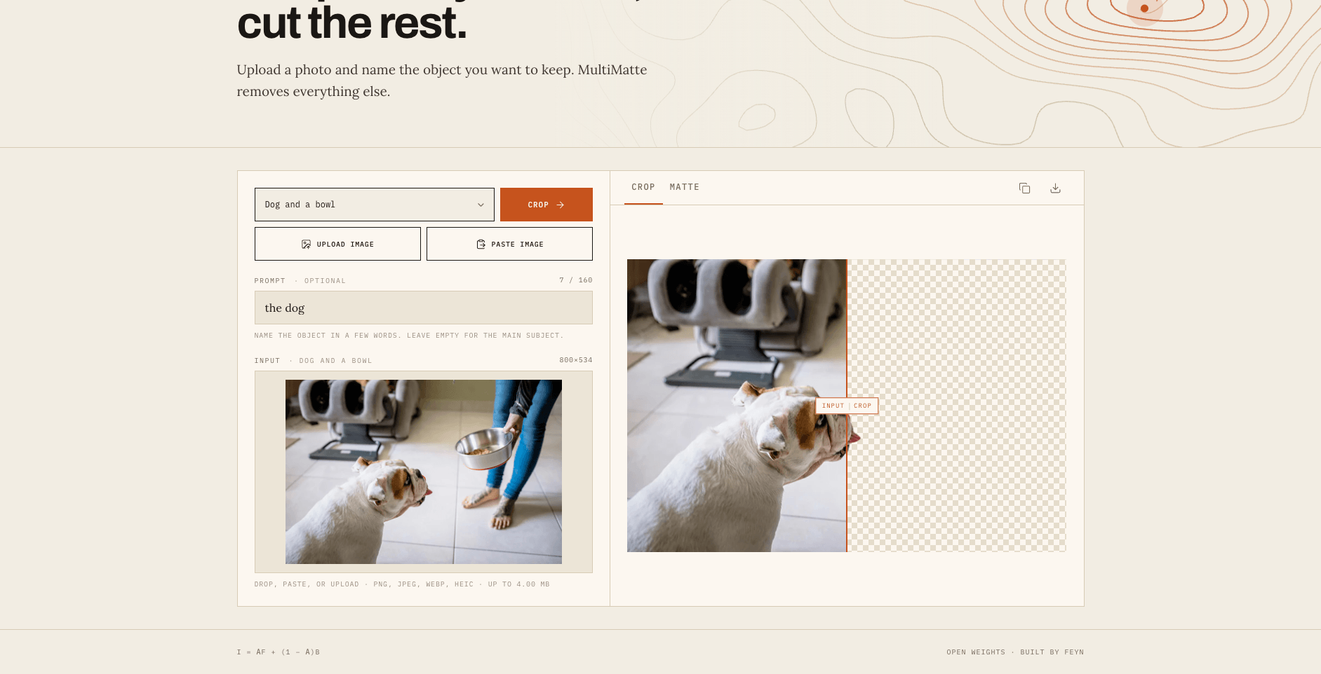 Feyn's MultiMatte demo page where the same photo is retargeted with different prompts such as the dog or the jeans